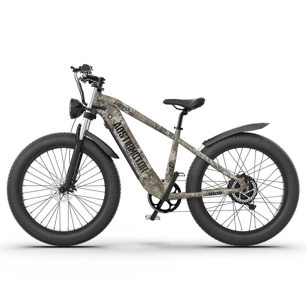Aostirmotor Off-road Electric Bike Hero