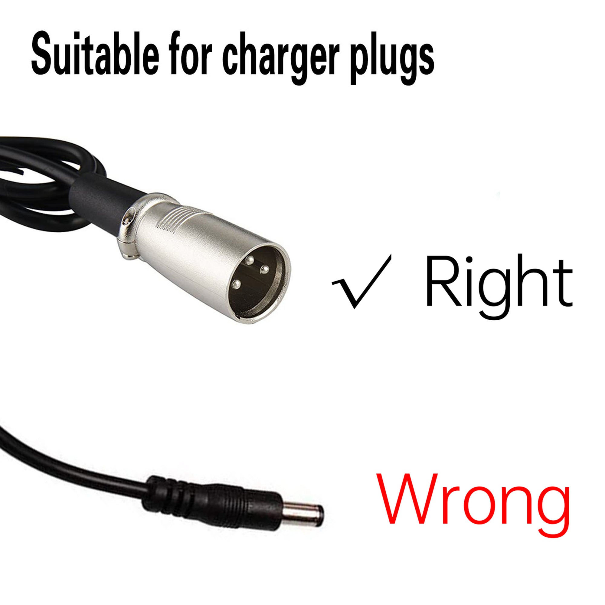 Rattan LM/LF Battery Charger 48V 3A (With 3-pin plug connector)